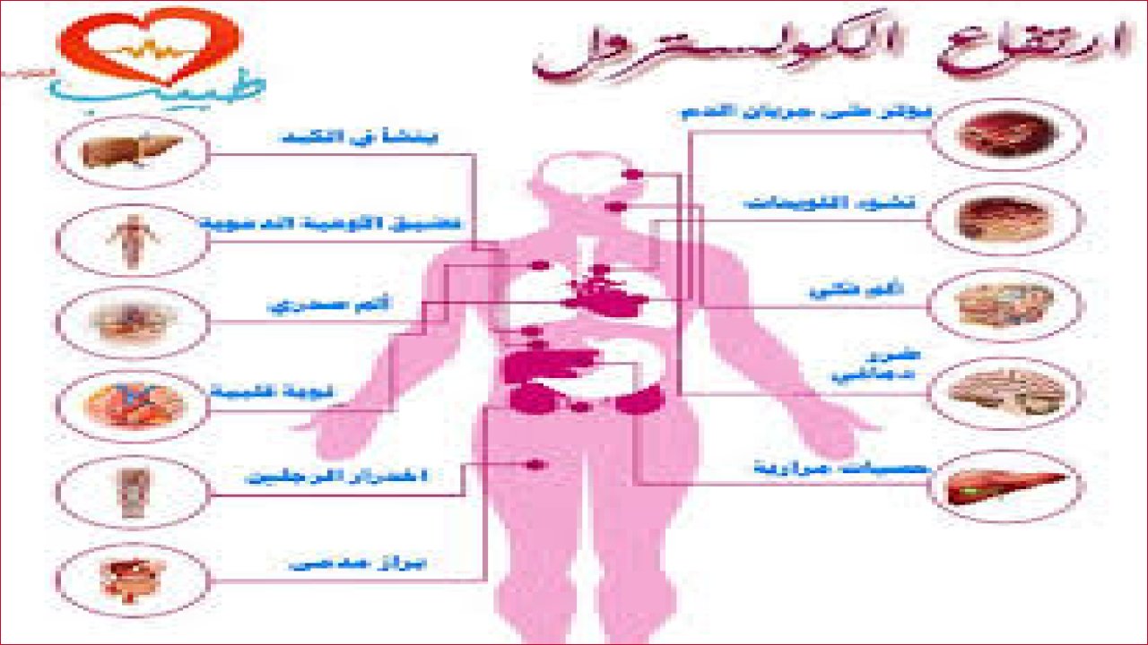 تشيلسي يرفض بيع كول بالمر ويؤكد أهميته للمستقبل