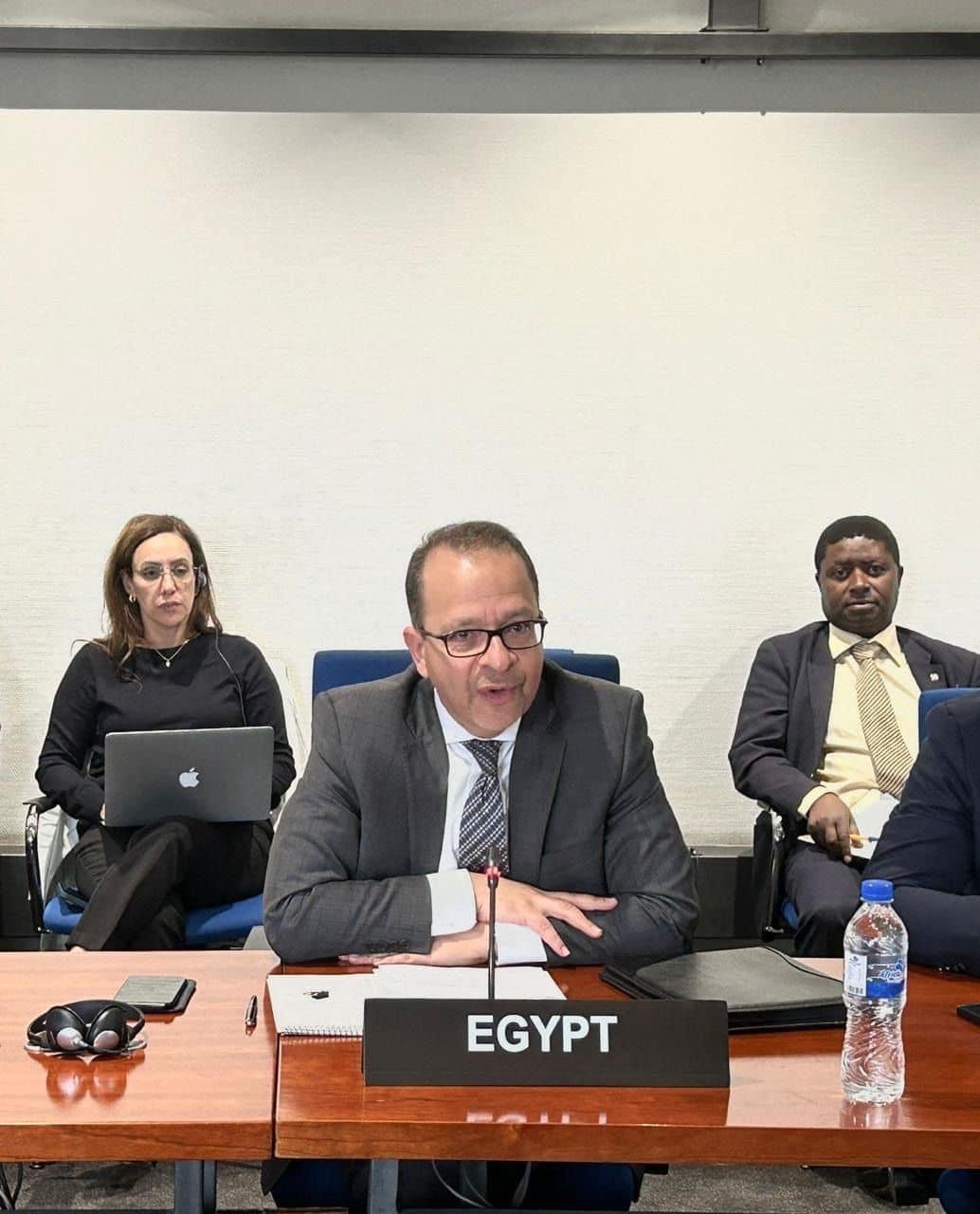 بدء عضوية مصر بمجلس السلم والأمن الأفريقي