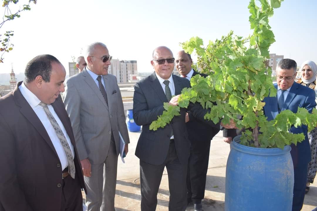 جامعة سوهاج تنجح في تطبيق مبادرة زراعة الأسطح وتبدأ بتنفيذ المرحلة الثالثة