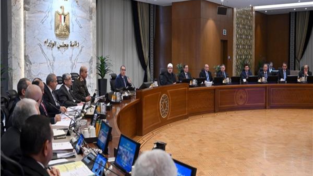 Egypt's PM Reviews State Administrative Apparatus Restructuring Project