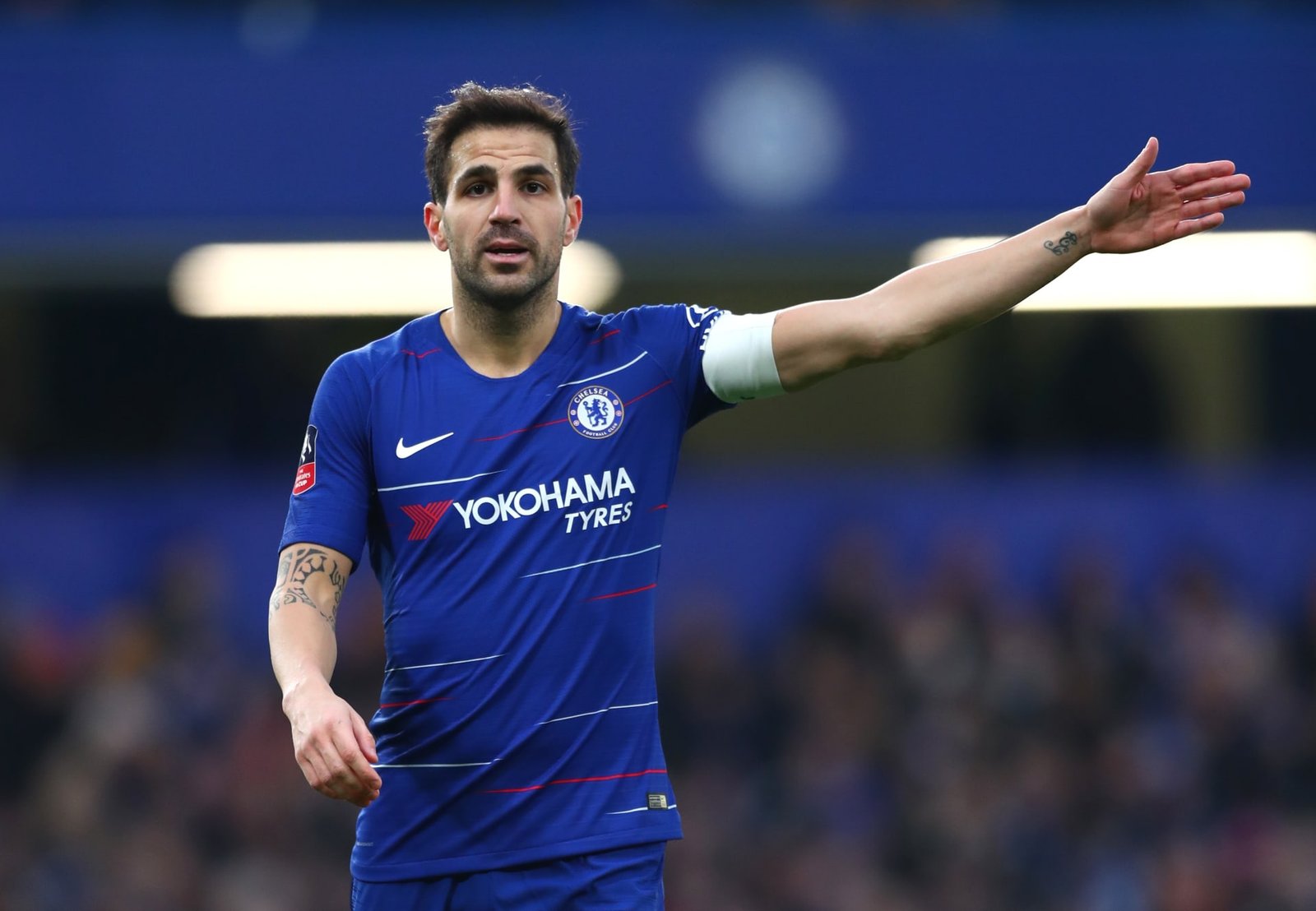 فابريغاس يرد على منتقدي عودة مانشيني لإيطاليا
