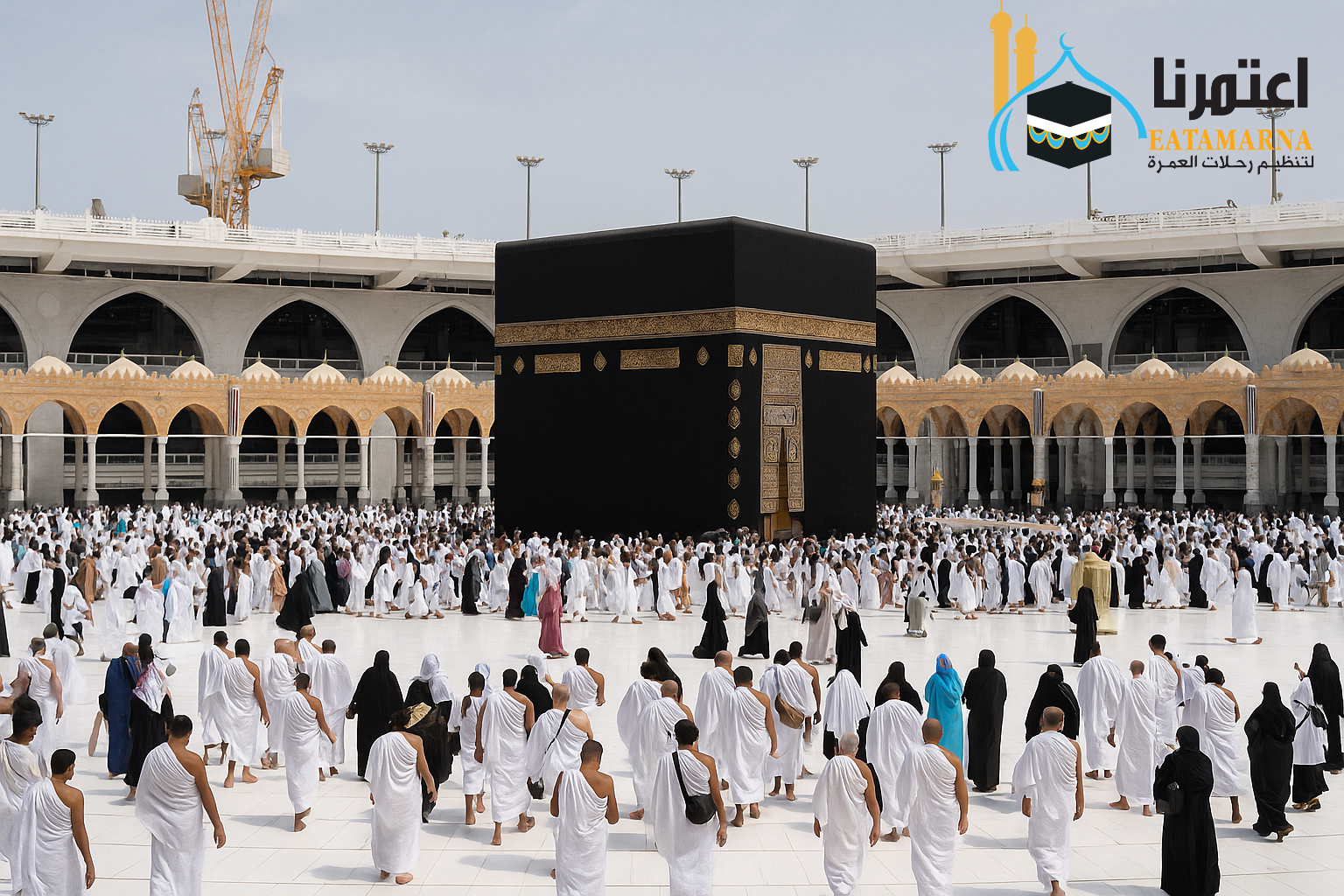 سيدة أعمال تتبرع برحلات عمرة لأسر ضحايا حادث طريق المنوفية
