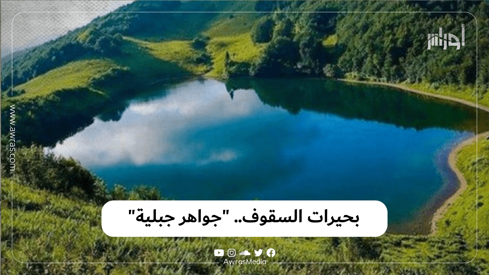 أجمل إطلالات النجمات في احتفالات كريسماس 2024