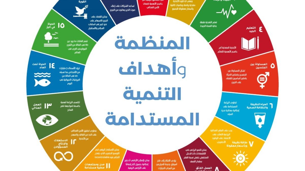 في اليوم العالمي للبيئة: دعوة صينية لحماية الطبيعة.. 'من لا يخذل الجبال، لن تخذله الجبال'
