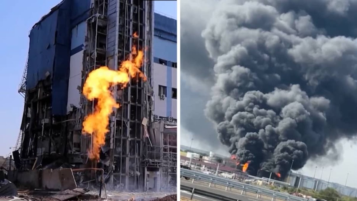هل تم إيقاف إيمان خليف وتجريدها من القابها ؟ اللجنة الأوليمبية تجيب