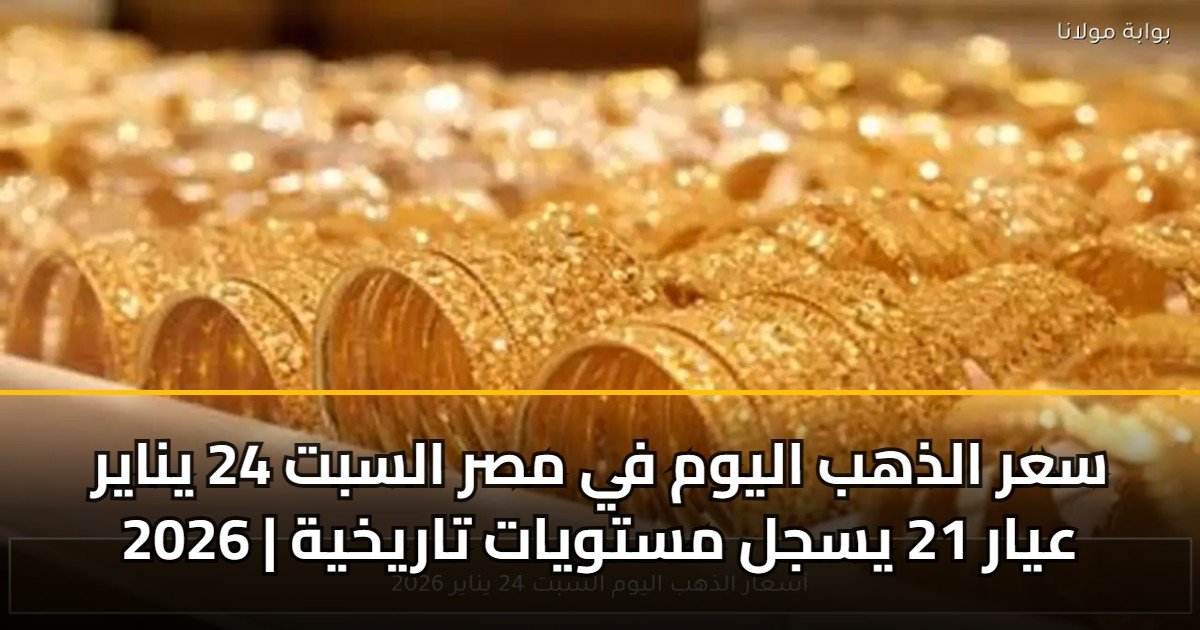 وزارة النقل وجمعيات النقل الجماعي تتجاهل المواطنين وتلغي خطوط "أكتوبر – إمبابة" الحيوية دون مبرر