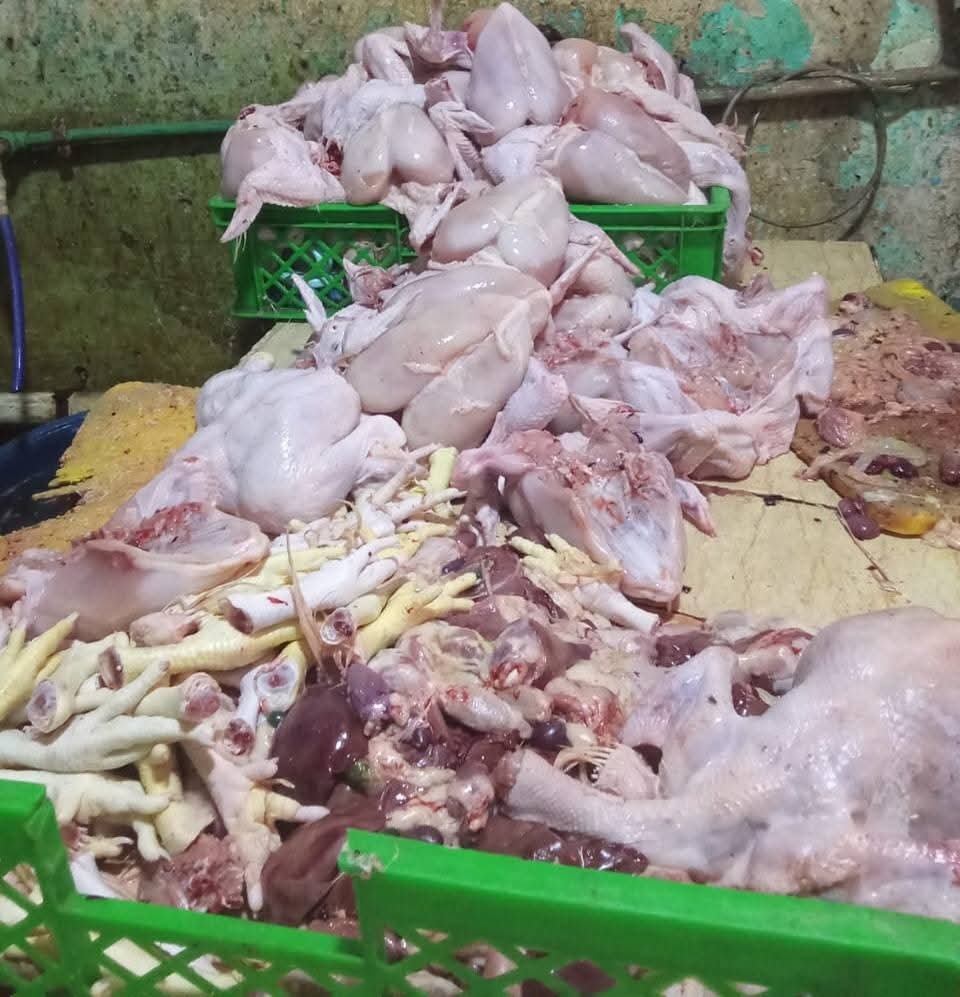 الدكتور تامر صلاح يضرب بيد من حديد على محلات الدواجن