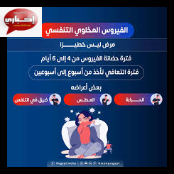 منظمة الصحة العالمية: وفيات بفيروس هانتا المشتبه به على متن سفينة سياحية