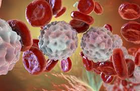 اكتشاف خلايا جديدة تسبب سرطانات الجلد والثدي في بلجيكا