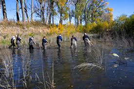Лидер крупнейшей нелегальной группы скаутов задержан на Амами Осима; 1,7 миллиона иен наличными обнаружены в его убежище