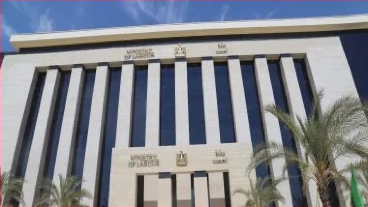 وظائف أحلام في بورسعيد: وزارة العمل تعلن عن 77 فرصة برواتب تصل لـ20 ألف جنيه للمؤهلات المتوسطة!