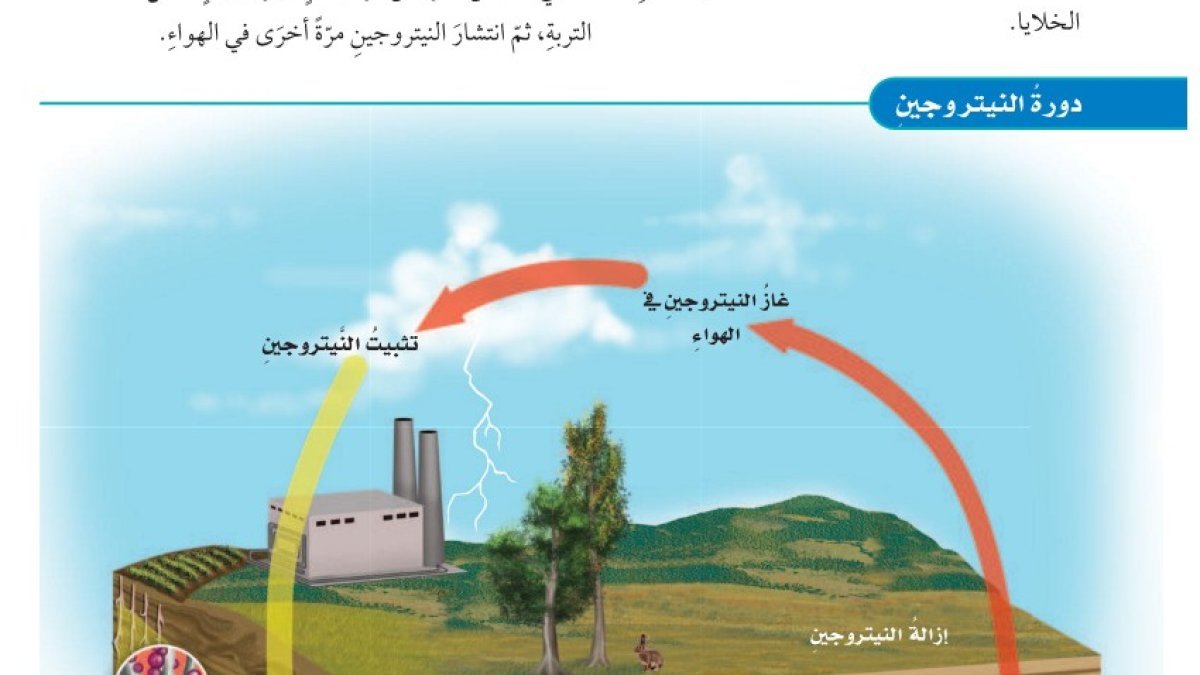 دراسة تكشف: التحول من مواقد الغاز إلى الكهرباء يحسن أعراض الربو