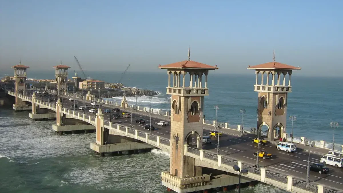 تامر عاشور يشيد بتفاعل جمهور مكتبة الإسكندرية في ختام مهرجان الصيف الدولي