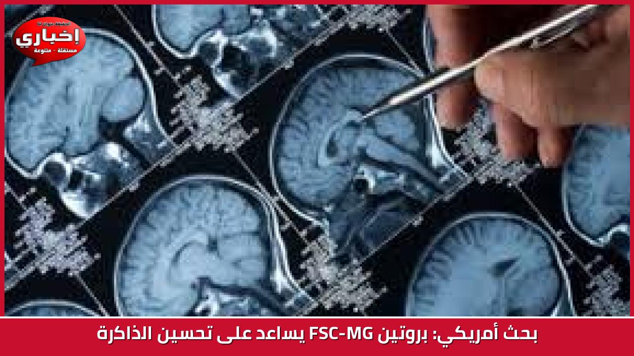 بحث أمريكي: بروتين GM-CSF يساعد على تحسين الذاكرة