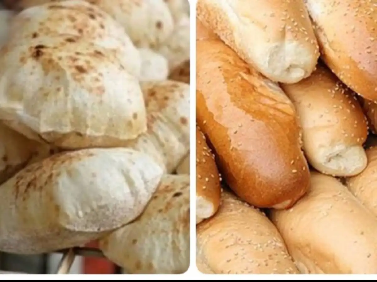  الخبز السياحى والفينو 
