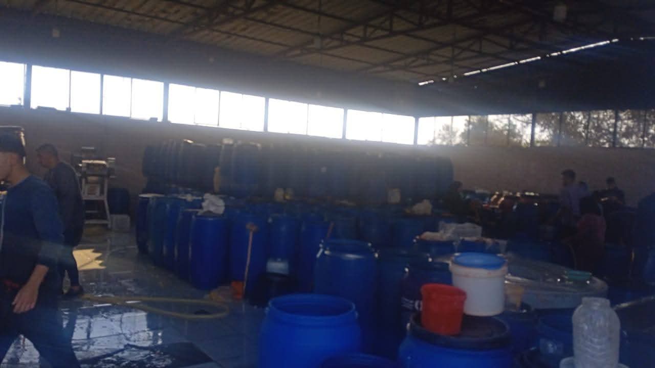 صورة أرشيفية