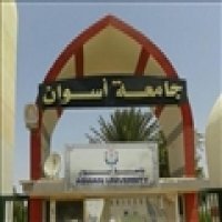  مؤقتو جامعة أسوان يستغيثون بالرئيس: 12 عامًا بلا استقرار 