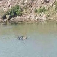 العثور على جثة شاب موثوق اليدين بنيل كوم أمبو