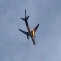 ارنب يتسبب في حريق طائرة امريكية 