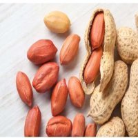 فوائد إيجابية غير متوقعة للفول السوداني على وظائف وأنشطة الدماغ