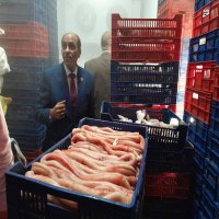 تموين القليوبيه في قبضه  حديديه